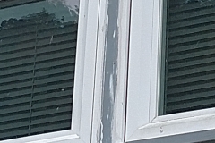 IMG_20170208_163131933_BURST000_COVER_TOP