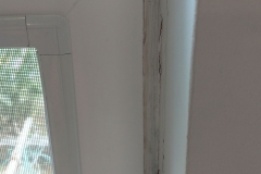 IMG_20170208_164255174